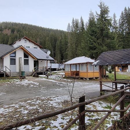 Complex Transalpina Lac Voineasa Exterior photo