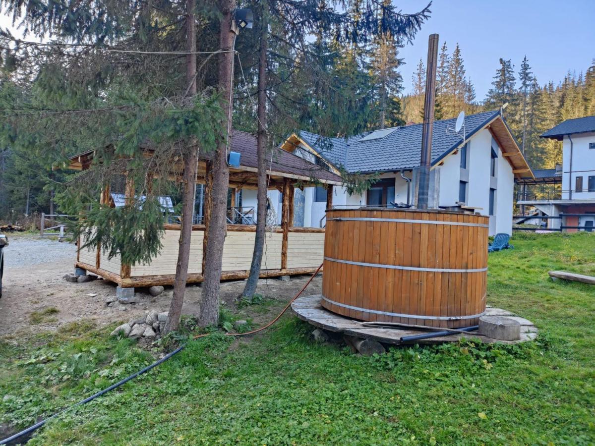 Complex Transalpina Lac Voineasa Exterior photo
