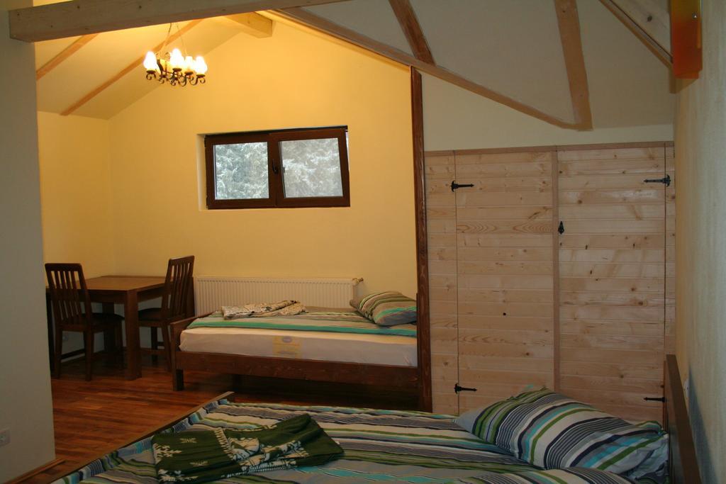 Complex Transalpina Lac Voineasa Room photo