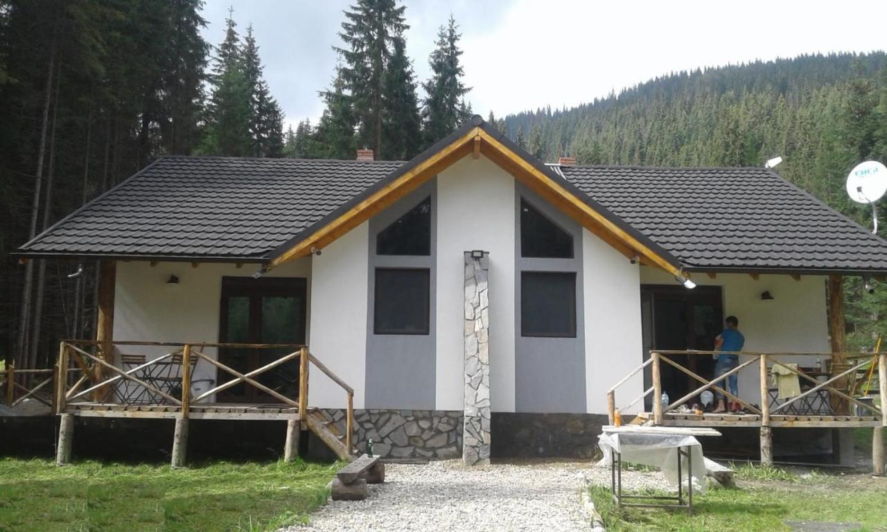 Complex Transalpina Lac Voineasa Exterior photo
