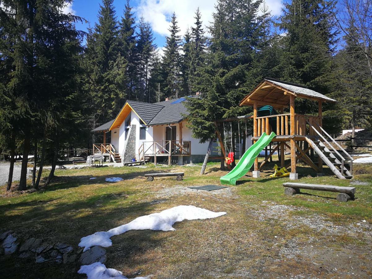 Complex Transalpina Lac Voineasa Exterior photo